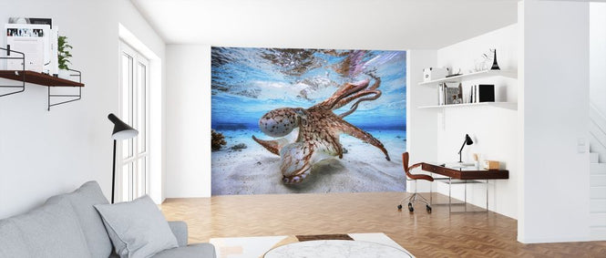 PHOTOWALL / Dancing Octopus (e315350)