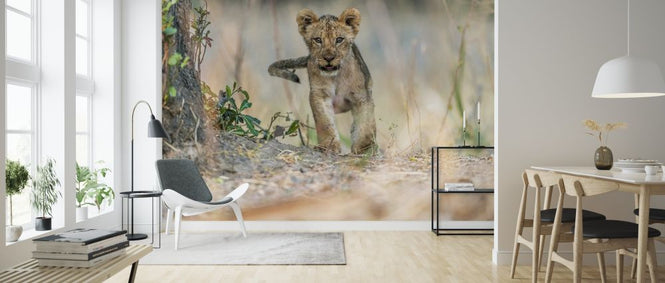 PHOTOWALL / Cub South Luangwa (e315379)
