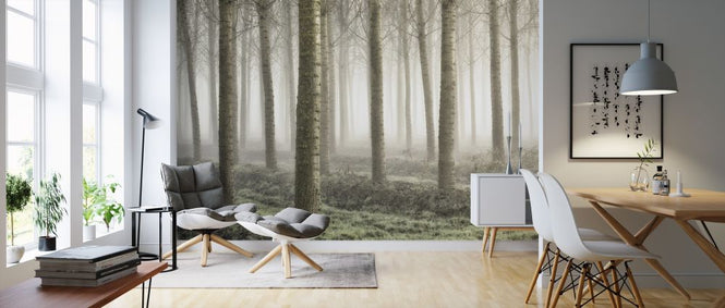 PHOTOWALL / Small Woodland (e315382)