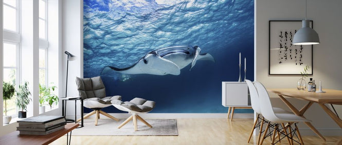 PHOTOWALL / Manta Ray (e315388)