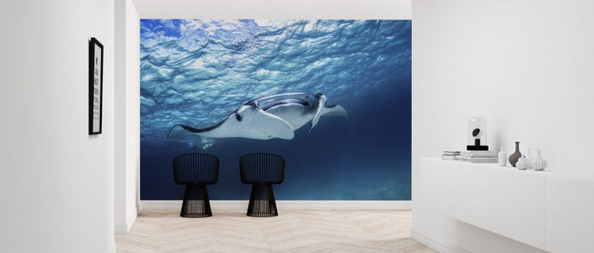 PHOTOWALL / Manta Ray (e315388)