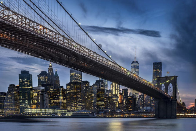 PHOTOWALL / Manhattan from Dumbo (e315399)