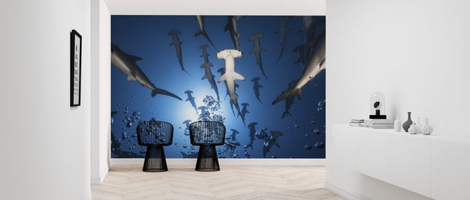 PHOTOWALL / Hammerhead Shark (e315416)