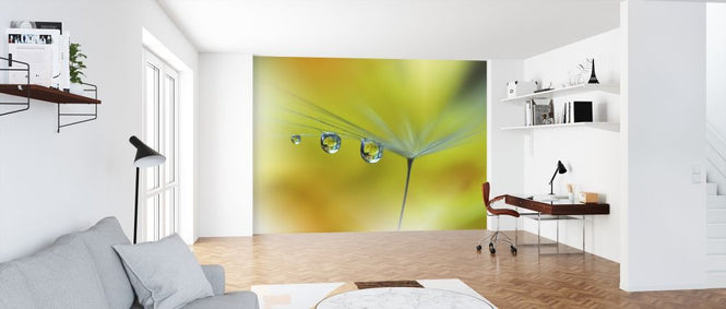 PHOTOWALL / Sunbeam (e315419)