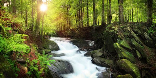 PHOTOWALL / Mountain Stream Waterfall (e315827)