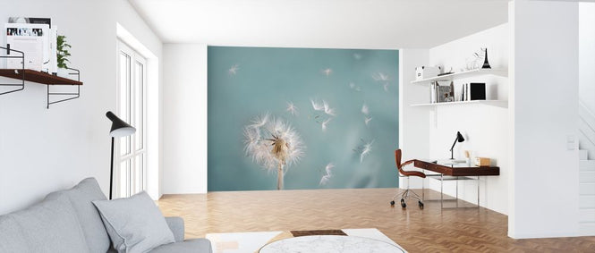 PHOTOWALL / Dandelion (e315842)