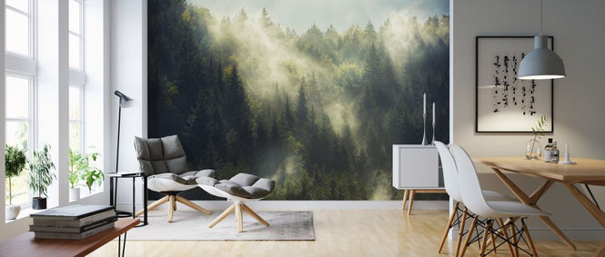 PHOTOWALL / Misty Forest (e315848)
