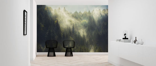 PHOTOWALL / Misty Forest (e315848)