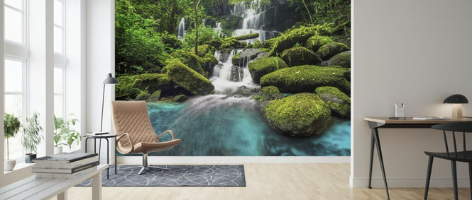 PHOTOWALL / Green Forest Waterfall (e315853)