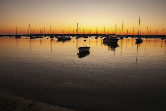 PHOTOWALL / Marthas Vineyard Sunset II (e315608)