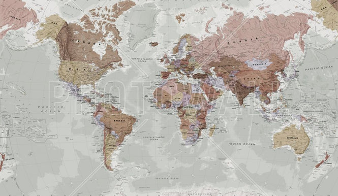 PHOTOWALL / Executive Political World Map (e316085)