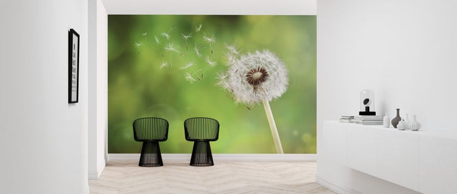 PHOTOWALL / Dandelion Dispersing Seed (e315908)