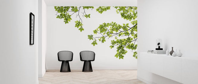 PHOTOWALL / Tree Branch (e316047)
