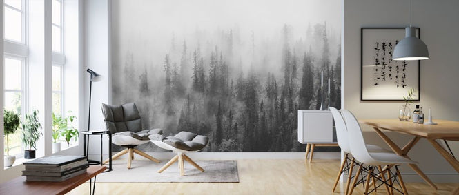 PHOTOWALL / Forest in Fog (e316058)