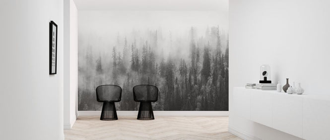 PHOTOWALL / Forest in Fog (e316058)