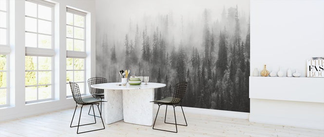 PHOTOWALL / Forest in Fog (e316058)