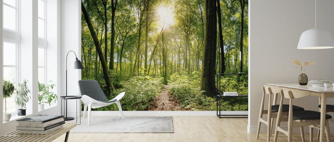 PHOTOWALL / Forest (e316064)