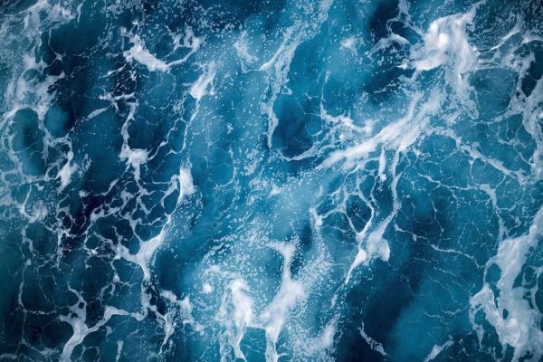 Zoom