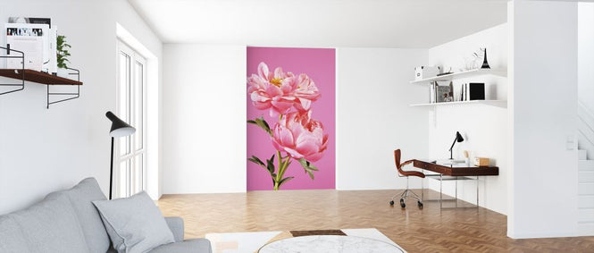 PHOTOWALL / Pink Peonies (e316127)