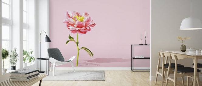 PHOTOWALL / Pink Peony (e316152)