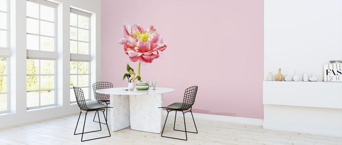 PHOTOWALL / Pink Peony (e316152)