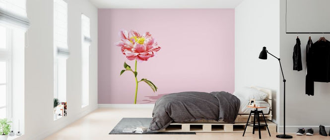 PHOTOWALL / Pink Peony (e316152)