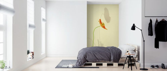 PHOTOWALL / Orange Poppy (e316159)