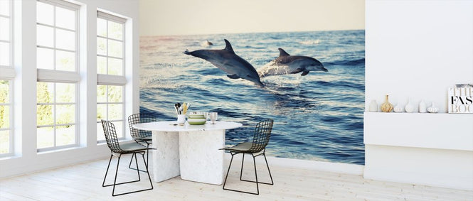 PHOTOWALL / Dolphins Jumping from the Sea (e316501)