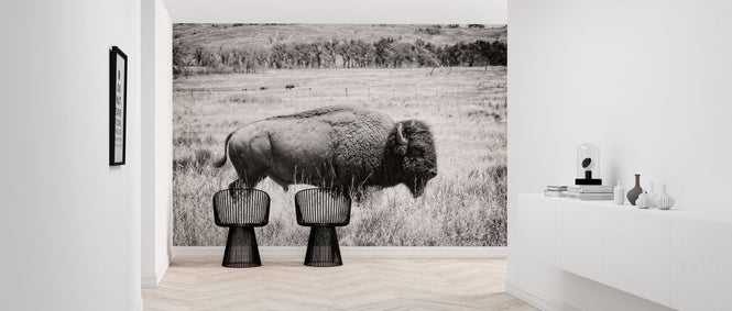 PHOTOWALL / Buffalo (e316432)
