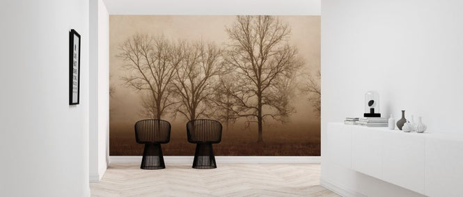 PHOTOWALL / Morning Calm II (e316434)