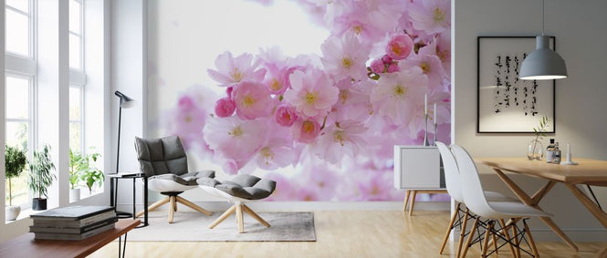 PHOTOWALL / Blossom Cherry Blossom (e316212)