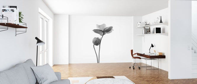 PHOTOWALL / Little Touch (e316877)