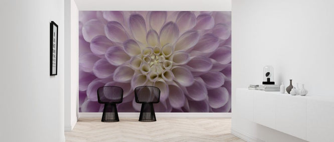 PHOTOWALL / Dahlia (e316883)