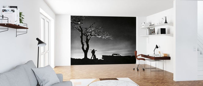 PHOTOWALL / Badlands (e316906)
