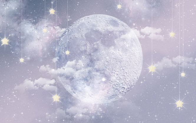 PHOTOWALL / Moon with stars (e317159)