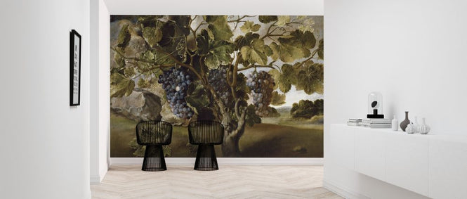 PHOTOWALL / Grapevine - Tomas Hiepes (e317022)