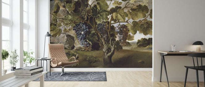 PHOTOWALL / Grapevine - Tomas Hiepes (e317022)