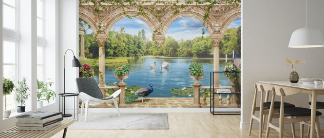PHOTOWALL / Swans in Park (e317406)