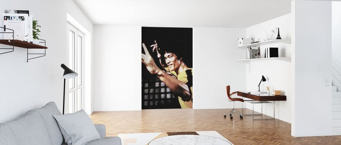 PHOTOWALL / Warriors Journey - Bruce Lee (e317196)