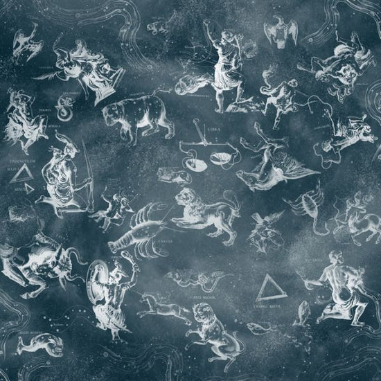 PHOTOWALL / Zodiac (e318253)