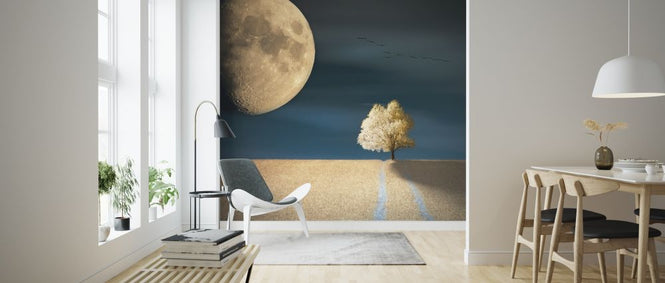 PHOTOWALL / GMO (e317811)