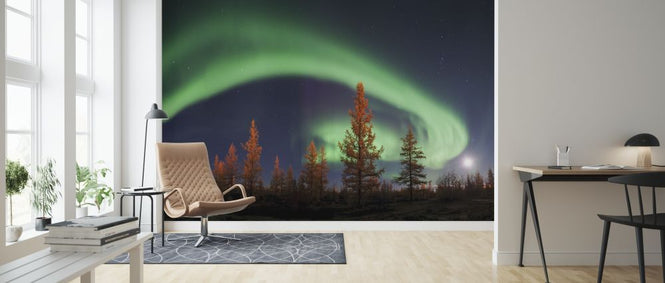 PHOTOWALL / Northern Lights (e317627)