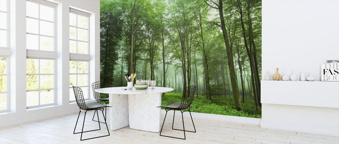 PHOTOWALL / Forest View (e317598)