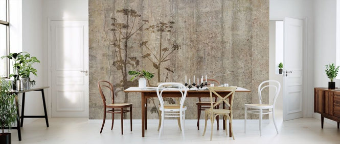 PHOTOWALL / Giant Hogweed with Concrete Wall (e318483)