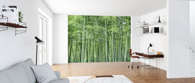 PHOTOWALL / Shinachiku (e318898)