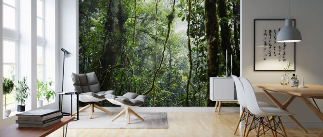 PHOTOWALL / Tropical Forest (e317875)