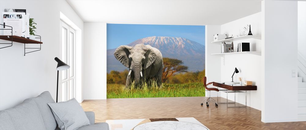 Zoom
