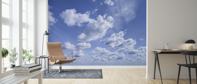 PHOTOWALL / Beautiful Summer Sky (e317924)
