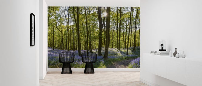 PHOTOWALL / Bluebell Carpets on Woodland (e317934)