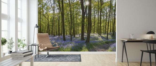 PHOTOWALL / Bluebell Carpets on Woodland (e317934)